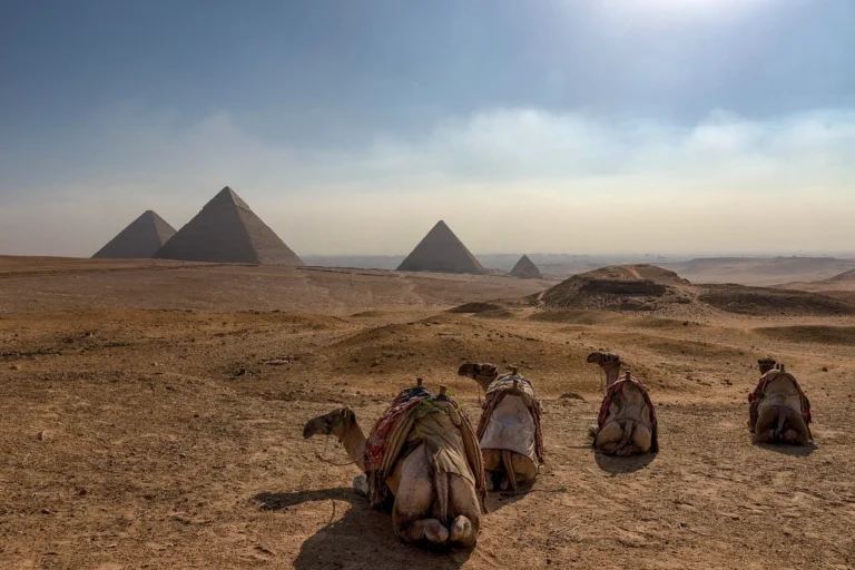Trave Egypt 2 768x512