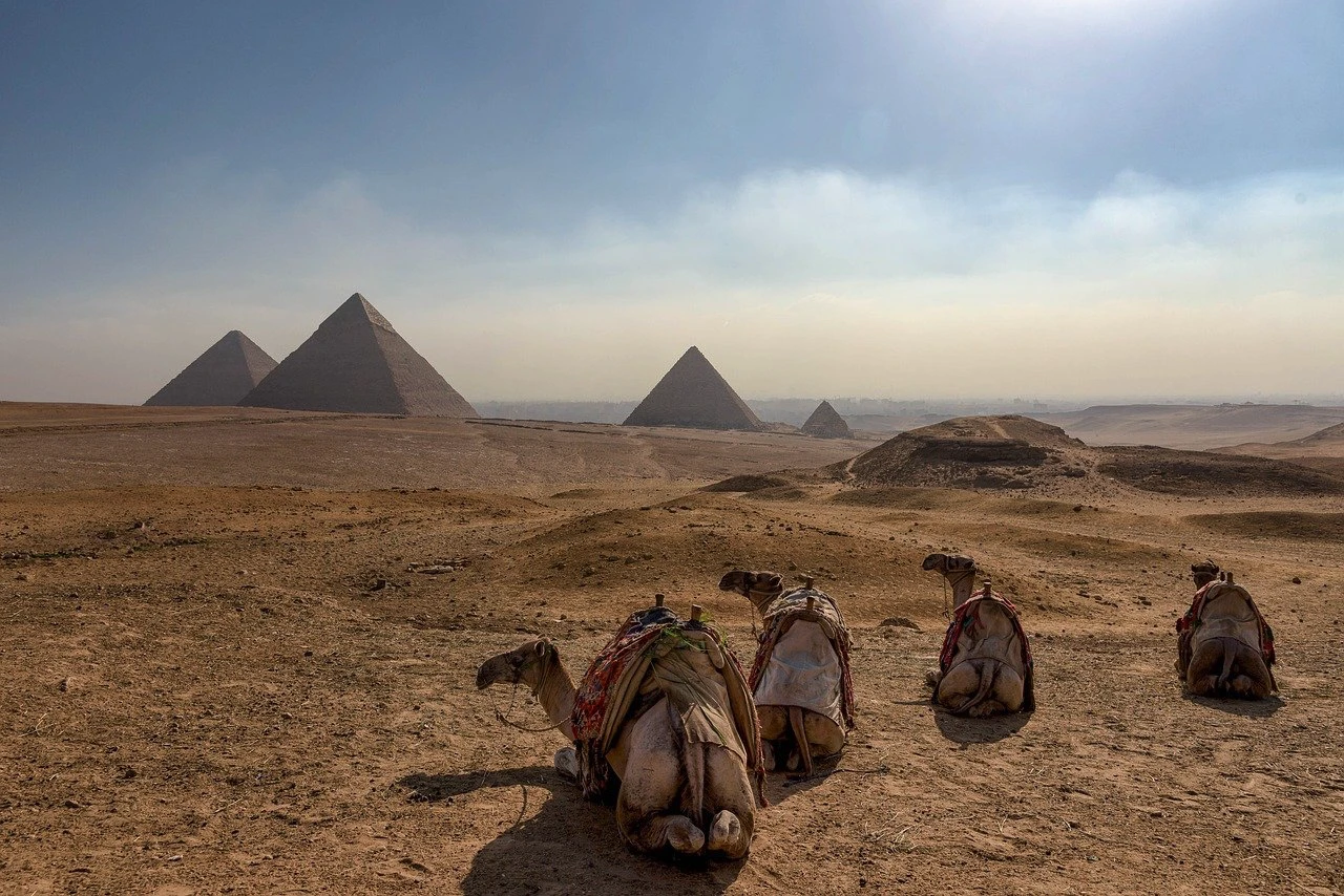 Trave Egypt 2